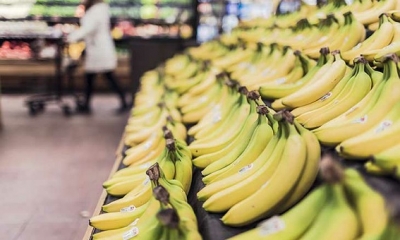 تأجيل دخول قرار تسعير الموز حيز التنفيذ  لمدة 10 أيام بعد الاتفاق بين المزودين و الوزارة