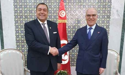 بحث العلاقات المصرية التونسية في لقاء وزير الخارجية بسفير القاهرة بتونس