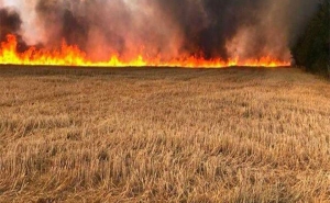 الحرائق مرة أخرى تأتي على مساحات مزروعة: كلّ قنطار يُحرق يعوض بآخر مورد .. الأخطاء البشرية  وتهرم آلات الحصاد أبرز الأسباب