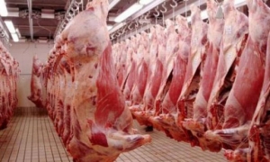 بزيادات تراوحت بين 12 و22.5% : أسعار اللحوم الحمراء تحلق قبل أيام من دخول شهر رمضان ....