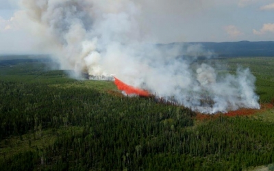 كندا: حرائق الغابات تسببت في انبعاث ما يعادل أكثر من مليار طن من ثاني أكسيد الكربون