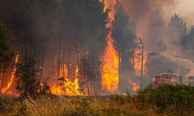 حرائق الغابات تكلف أوروبا خسائر بقيمة 1ر4 مليار يورو