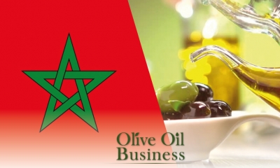 المغرب يقيد صادرات الزيتون ومشتقاته لنهاية 2024