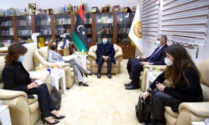 رئيس مجلس النواب للمستشارة الأممية بشأن ليبيا: «قرارات البرلمان ليست في حاجة للمصادقة عليها من أية جهة»