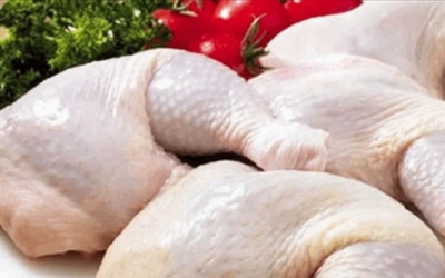 موفي سبتمبر: دجاج اللحم سجل على أساس شهري زيادة في أسعار الكلغ قاربت 21.5%