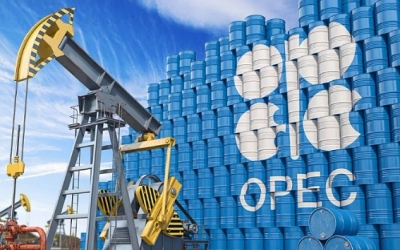 أوبك تبقي على توقعاتها لنمو الطلب العالمي على النفط  عند 2.4 مليون برميل يومياً