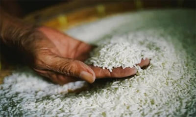 أسعار الأرز تواصل الارتفاع وسط قيود الهند وشح الإمدادات
