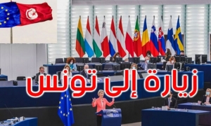 زيارة وفد البرلمان الاوروبي لتونس: دعوة الفرقاء في تونس إلى حوار وطني شامل