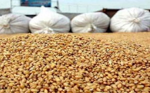 الزيادة في أسعار القمح الصلب والزيت النباتي تجاوزت 95 %: صعود صاروخي لأسعار الواردات الغذائية، بين استنزاف للعملة للصعبة وضغوط إضافية على ميزانية الدعم 