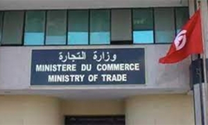وزارة التجارة: رفع 32 مخالفة اقتصادية خلال موسم التخفيضات الصيفية 2023