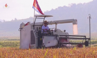كوريا الشمالية تعزز جهودها لزيادة إنتاج المحاصيل خلال حصاد الخريف
