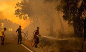 مسؤول مغربي: سيطرنا على حريق غابات بعد 4 أيام من اندلاعه