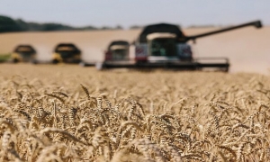 واردات مصر من القمح ترتفع ب 30% والقسط الاعلى من روسيا