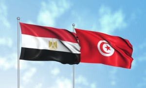 مصر وتونس الأكثر مخاطر عربياً بمؤشر القروض السيادية