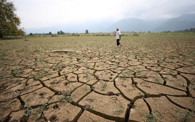 الكوارث الطبيعية تسببت بخسائر بقيمة 3.8 تريليون دولار من المحاصيل والمواشي