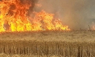 حريق يأتي على 8 هكتارات من القمح في بوسالم فتح تحقيق لمعرفة ملابساته