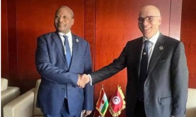 وزير الخارجية يلتقي نظيره بجمهورية النيجر على هامش أشغال المجلس التنفيذي للاتّحاد الإفريقي