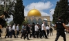 تقرير فلسطيني : مئات المستعمرين يقتحمون المسجد الأقصى