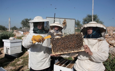 باجة:  توزيع شهائد على 24 متكونا فى تربية النحل من بين المنتفعين بمشروعي رسكلة شمع النحل ومعصرة العسل في تبرسق وعمدون