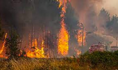 حاحب العيون: السيطرة على حريق التهم حوالي 3 هكتارات من الأشجار