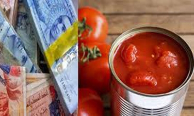 زيادة ثقيلة منتظرة في سعر علبة الطماطم في فيفري القادم