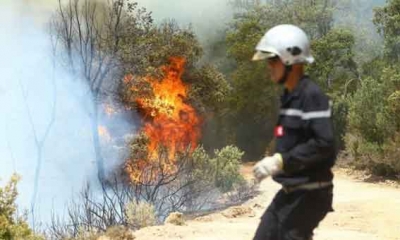 اندلاع حريق بغابة المركز القطاعي للتكوين المهني الفلاحي بالقيروان