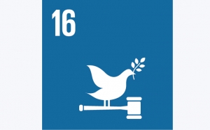 انطلاق المشاورات حول الهدف 16 للتنمية المستدامة 