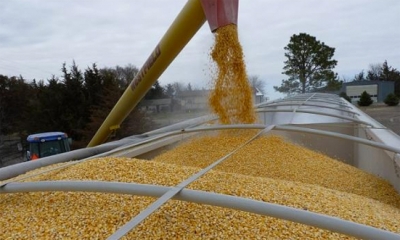 ارتفاع واردات الحبوب حتى نهاية الشهر الفارط ب4ر4%