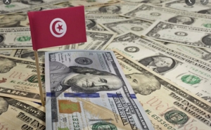 المعهد الدولي للتمويل: تونس رفقة أثيوبيا تواجهان مخاطر الائتمان والديون العالية