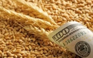 بعد اشتداد الأزمة والتجاء دول إلى التمويل الدولي لتأمين غذائها: انفراج نسبي في أسعار الحبوب واتفاق مرتقب يسمح باستئناف الصادرات الأوكرانية