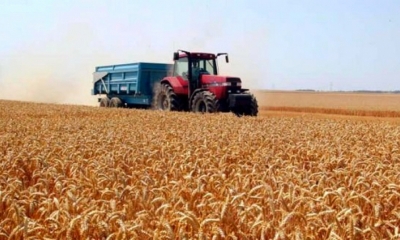 باجة: وزير الفلاحة يتابع مدى تقدّم موسم حصاد وتجميع الحبوب