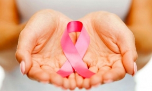 يوم تحسيسي مفتوح حول &quot; تقصي سرطان الثدي&quot;