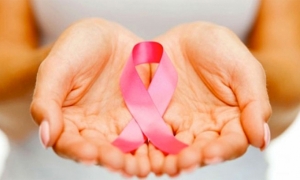 يوم تحسيسي حول تقصي سرطان الثدي بتونس
