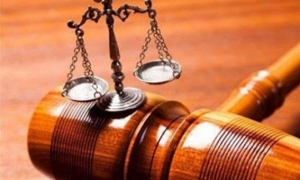 ملف «صفقة النخيل بسيدي بوزيد»: قاضي التحقيق يبقي واليا سابقا ومقاولا بحالة سراح