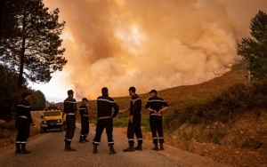السيطرة على 9 حرائق في مناطق مختلفة من الجزائر