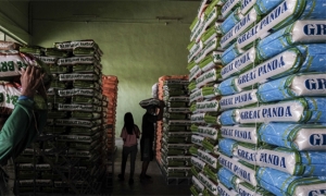 الفلبين قد تلغي سقف أسعار الأرز مع بدء موسم الحصاد