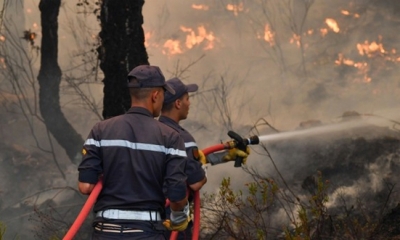 زغوان : عرض المخطط الجهوى للوقاية ومقاومة الحرائق