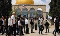 مئات المستوطنين الإسرائيليين يقتحمون المسجد الأقصى
