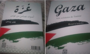 الكتاب الجماعي " غزة ...أصوات تضامن من تونس"