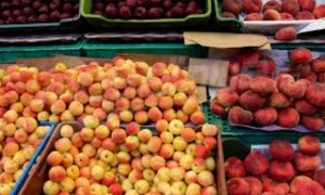 تراجع بـ24% في إنتاج الغلال الصيفية