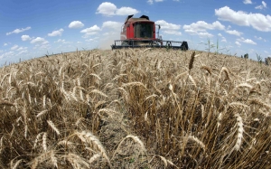 إنتاج الحبوب في تراجع و الخروج إلى الأسواق العالمية ضروري:  تراجع بـ22 % خلال العشر سنوات الماضية وفرنسا وأوكرانيا أبرز وجهات التوريد