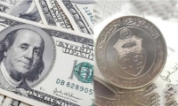 الدينار ومدى قدرته على مواجهة الصدمات