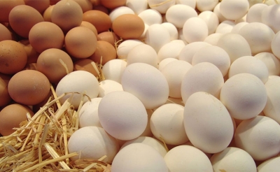 النقص في عدد من المواد الغذائية وارتفاع أسعارها ..  أسباب هيكلية ... وضغط موسمي إلى جانب استعمالات غير مهنية