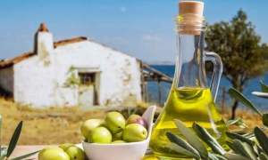 تصدير زيت الزيتون: تونس في المرتبة الرابعة عالميا