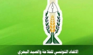اتحاد الفلاحة يدعو الى تسريع صرف المنح وبحث امكانية الترفيع في سعر قبول الحبوب عند التجيمع بصفة استثنائية