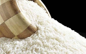الهند تمنع تصدير الأرز الأبيض