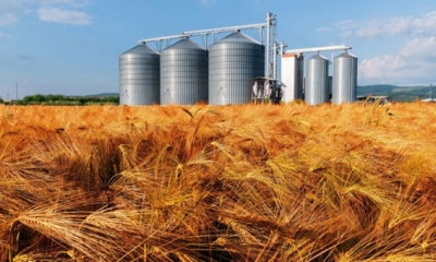 المجلس الدولي للحبوب: أسعار الحبوب عند التصدير تتراجع