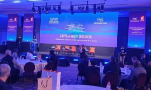 اللقاءات الخاصة بالهندسة المعمارية الأفرو-متوسطية: الدعوة لإنشاء بنك للمهندسين لتمويل المشاريع في إفريقيا