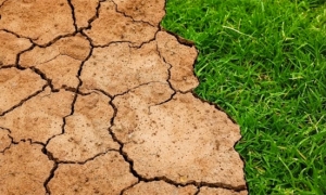 دراسة: ثلث سكان العالم سيعيشون في مناطق حارة بحلول 2080