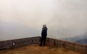 جندوبة : إسعاف اكثر من 150 متضررا من الحرائق وإجلاء أكثر من 100 آخرين